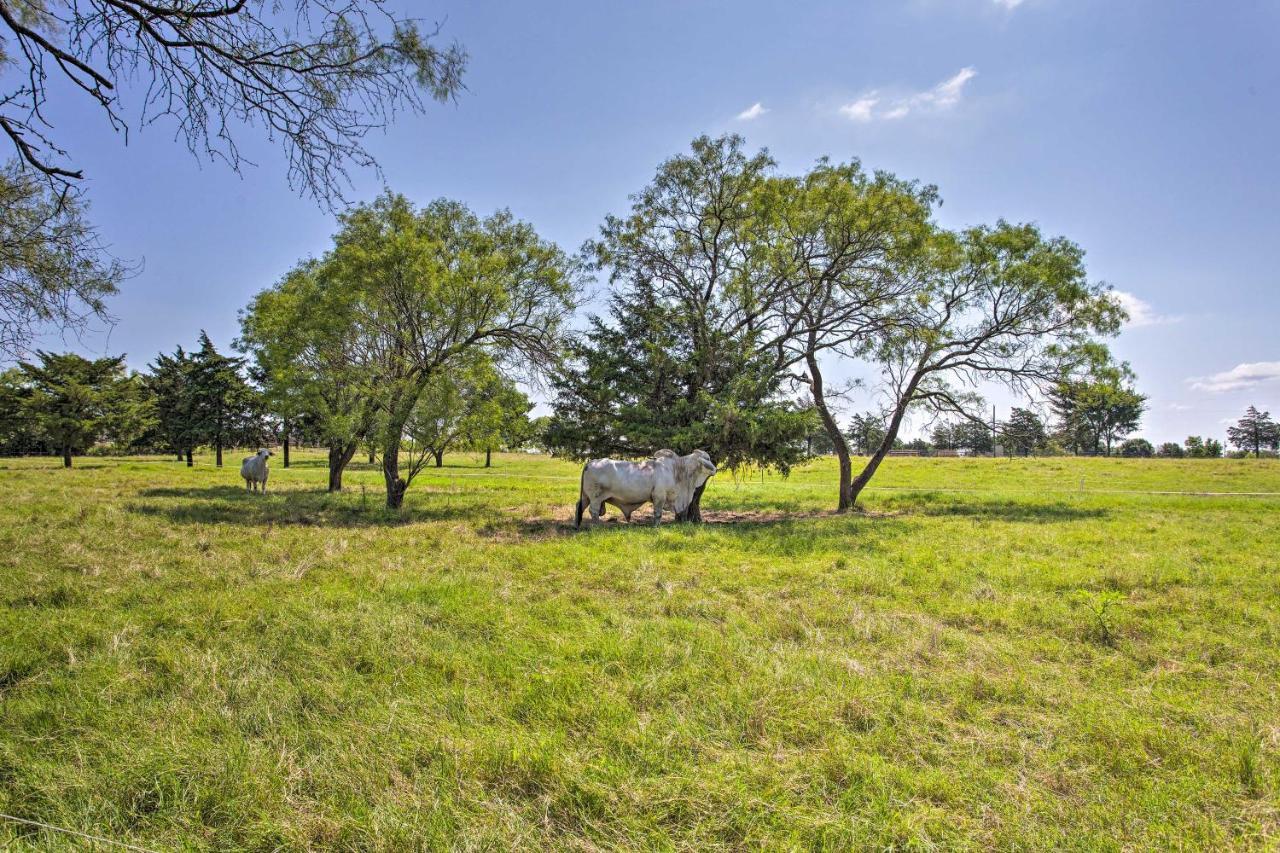 Texas Cabin On 130 Acres Walk To Lake Ray Roberts Collinsville エクステリア 写真